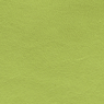 key lime green leather swatch
