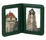 green leather double picture frame